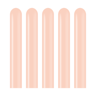 Kalisan Modelling Macaron Salmon